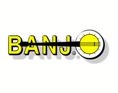 standard blog post with image